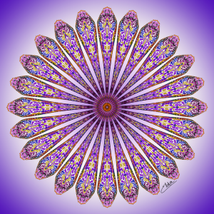 Mandala mística-Floral V